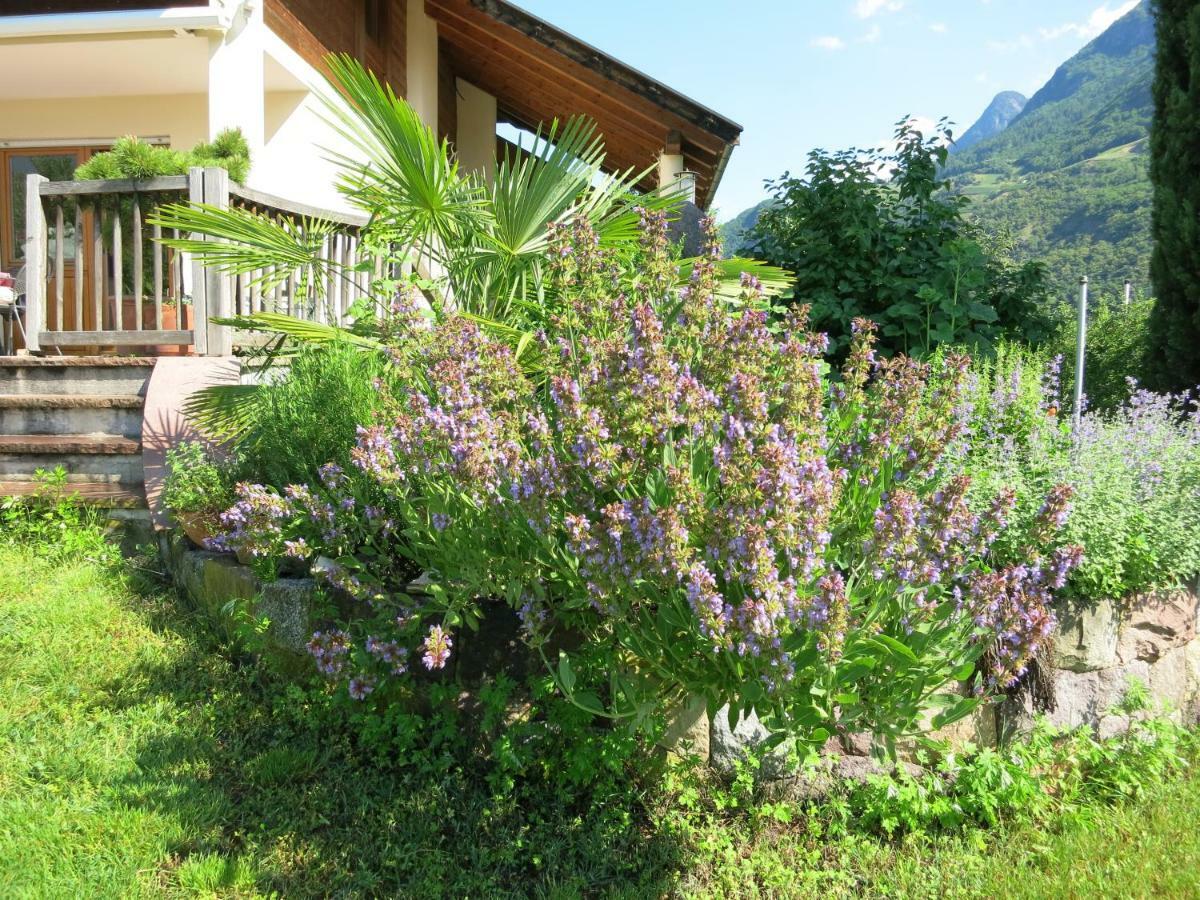 Feldererhof Apartman Postal / Burgstall Kültér fotó