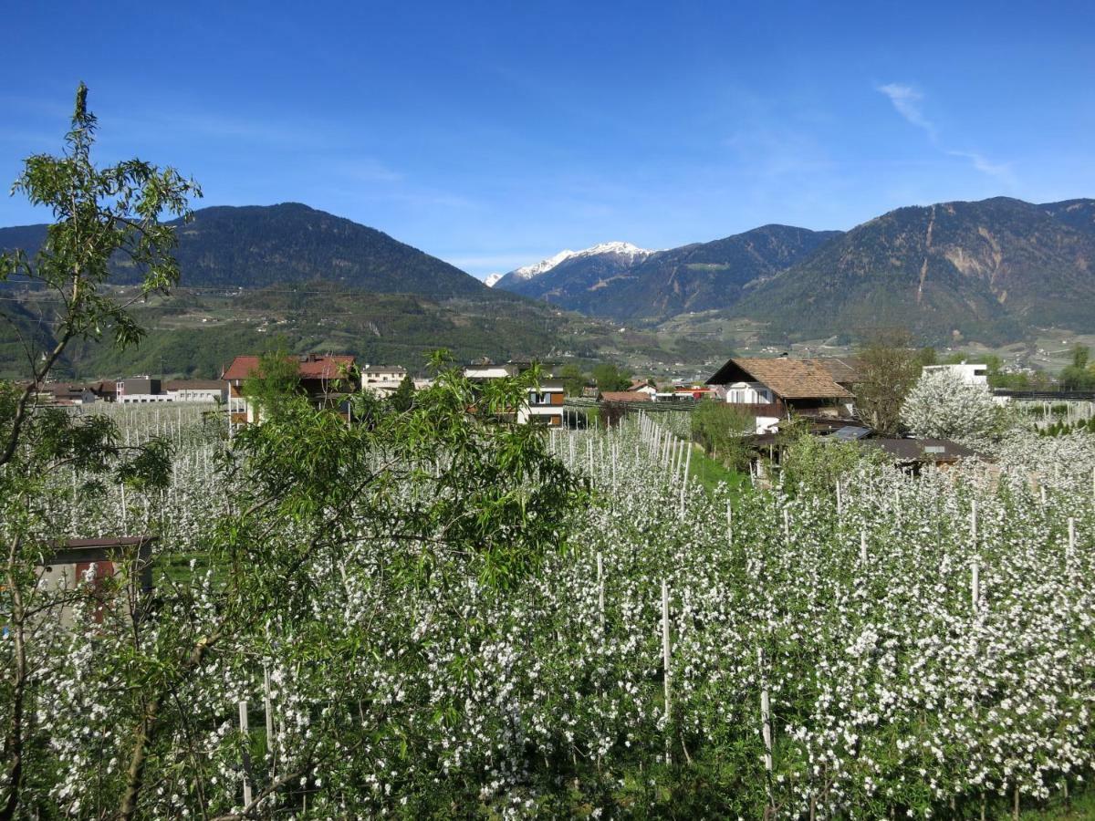 Feldererhof Apartman Postal / Burgstall Kültér fotó